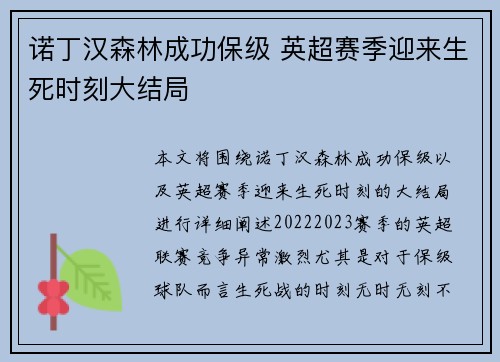 诺丁汉森林成功保级 英超赛季迎来生死时刻大结局 诺丁汉森林成功保级 英超赛季迎来生死时刻大结局